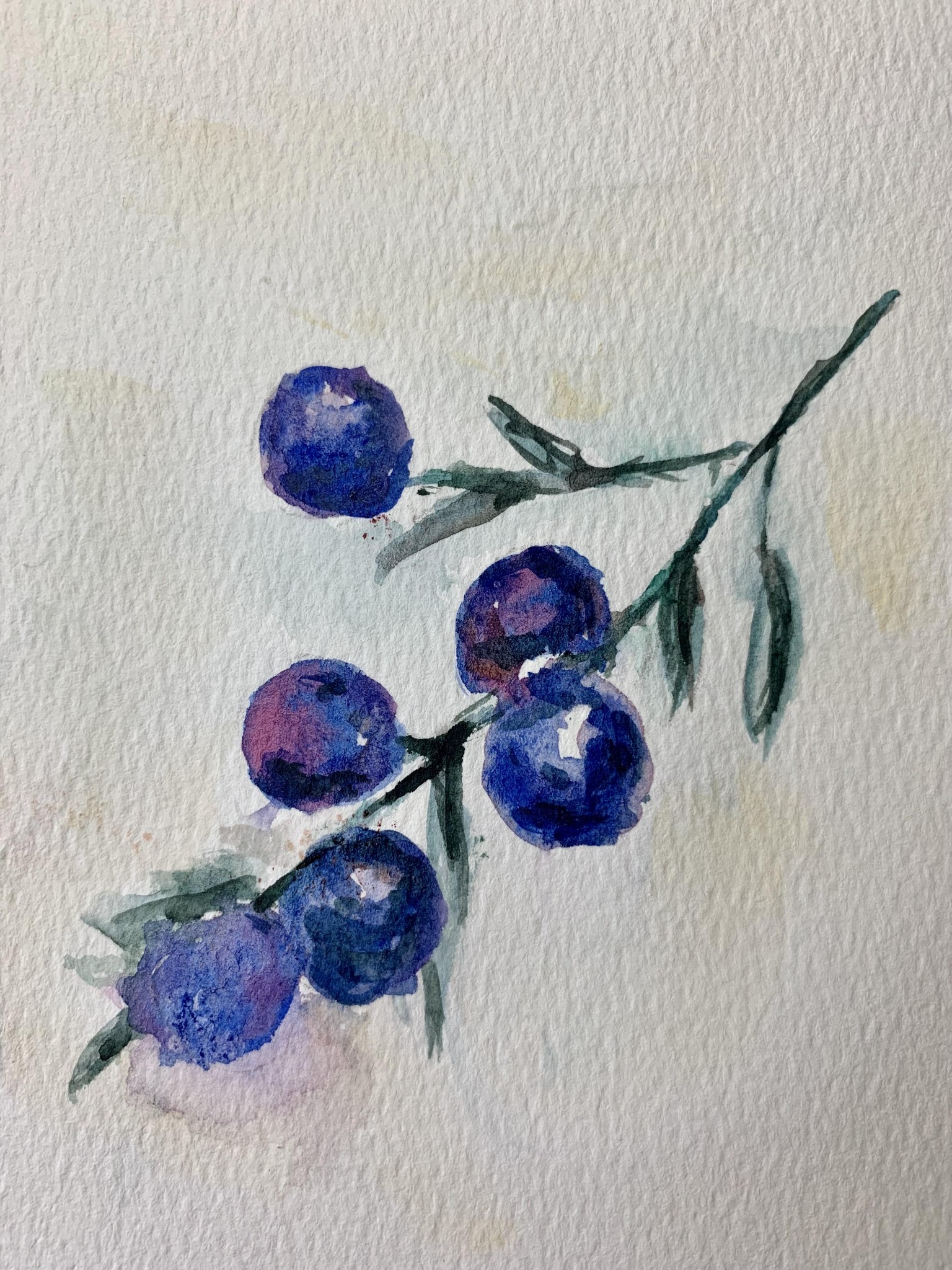 My fruits and vegetables - image 3 - student project