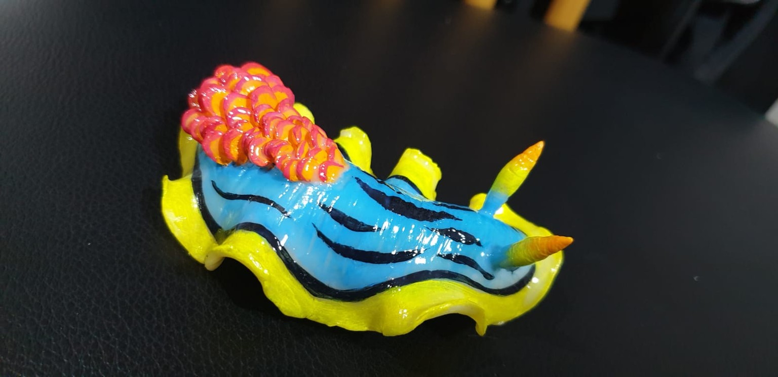 nudibranch - image 1 - student project