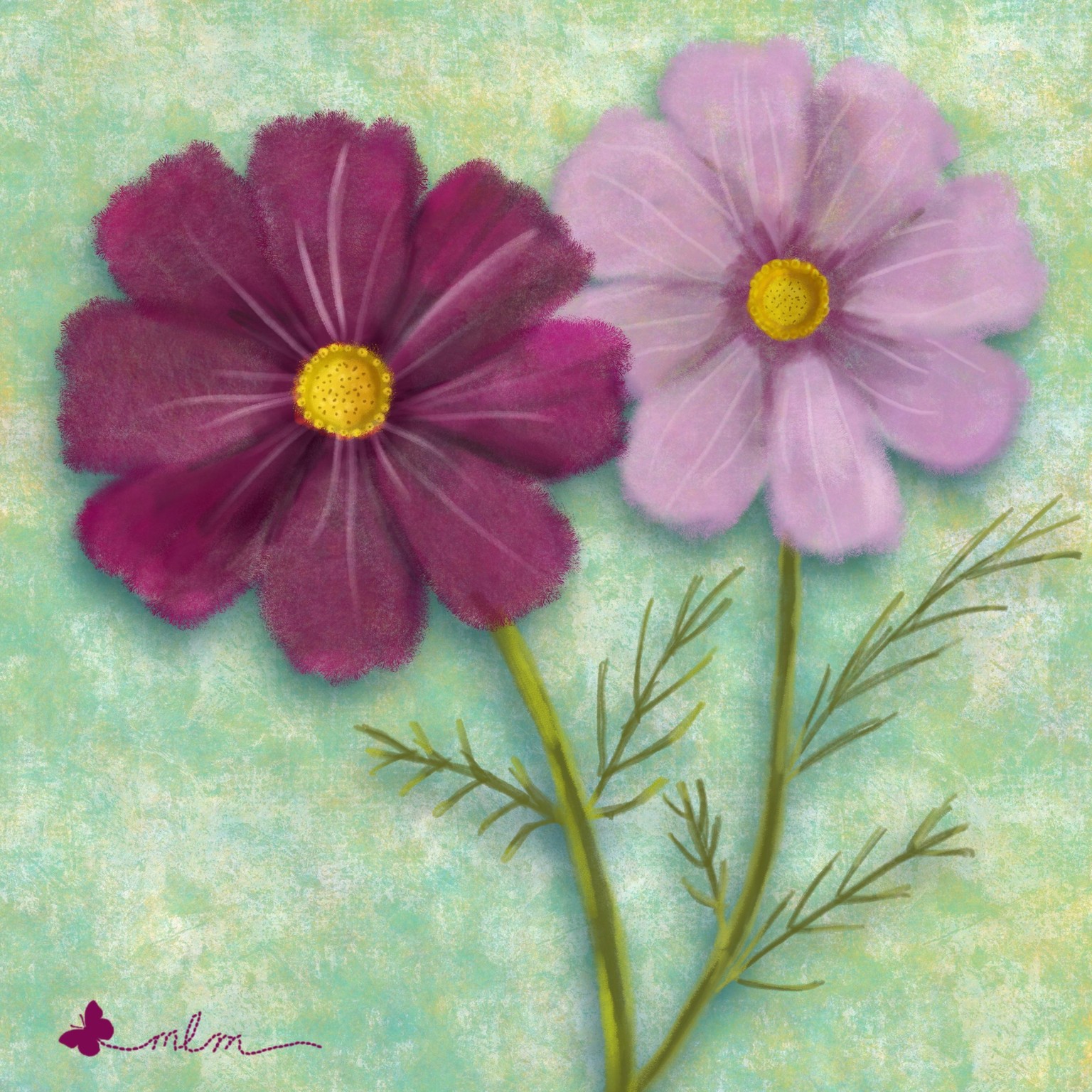 Drawing and Painting the Cosmos Flower - image 1 - student project