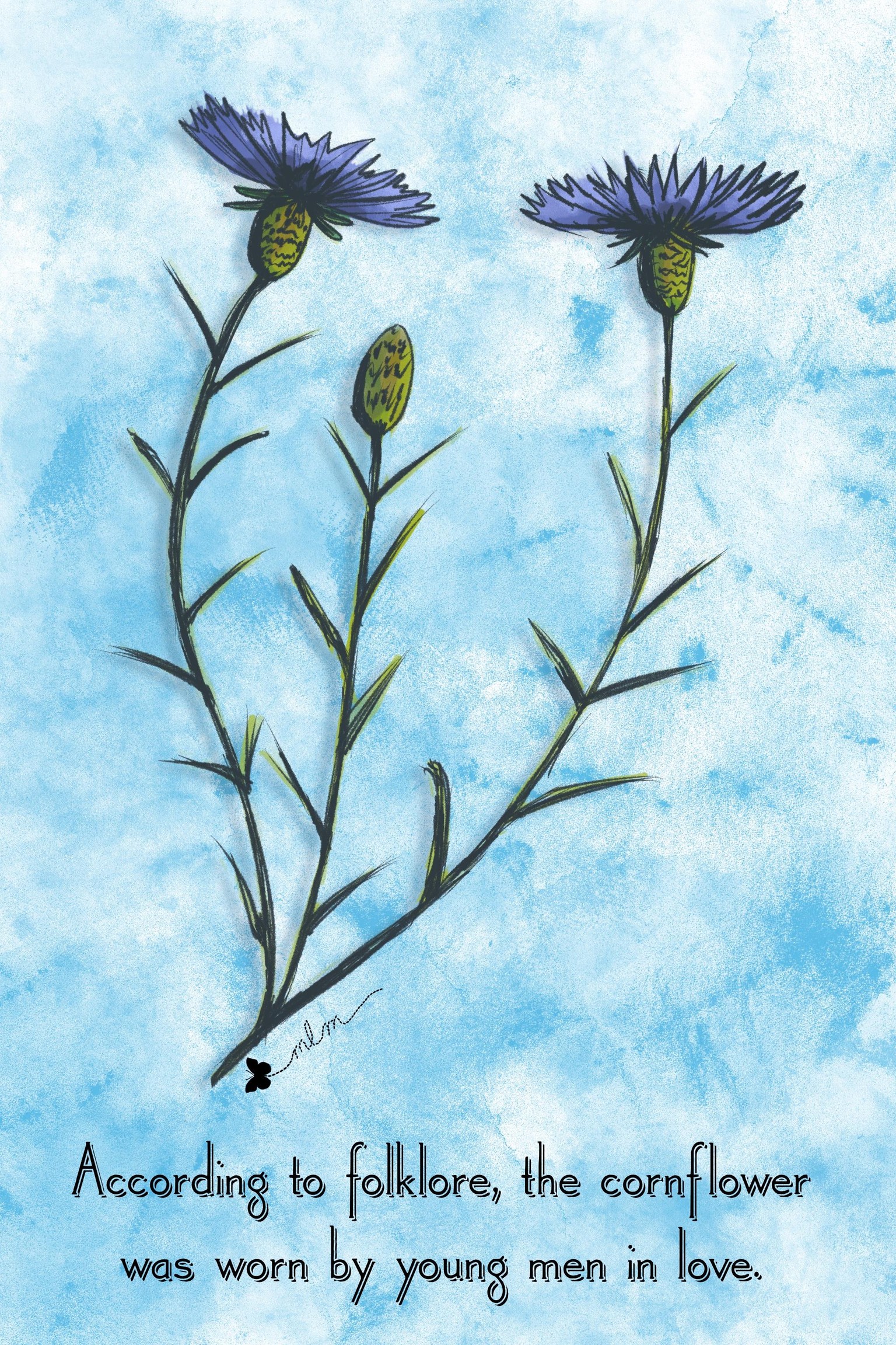 The Cornflower - image 1 - student project