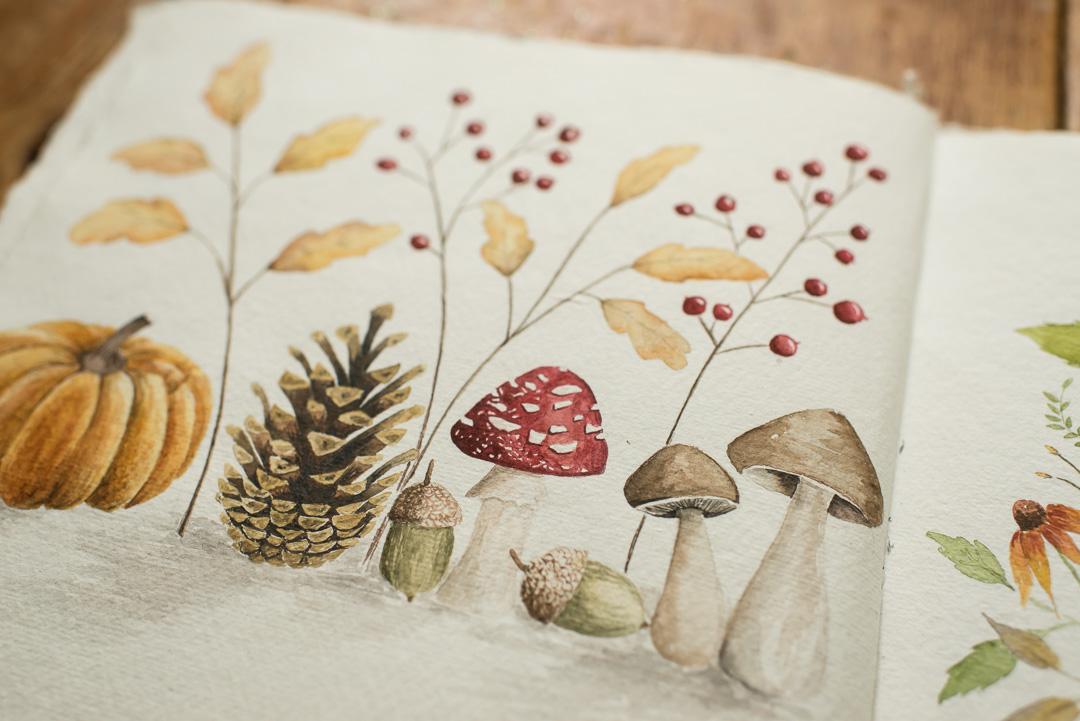 Adorable Fall Elements in Watercolor - image 2 - student project