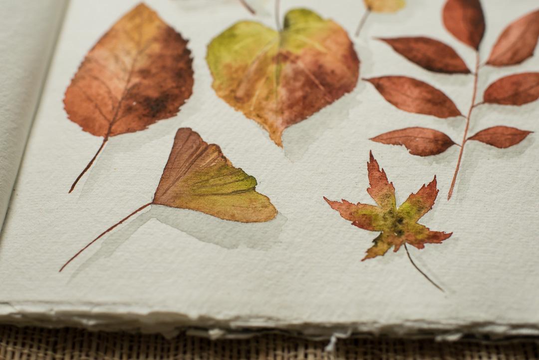 Realistic Fall Leaves in Watercolor - image 3 - student project
