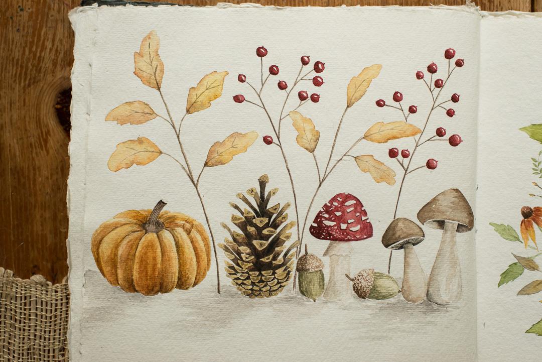 Adorable Fall Elements in Watercolor - image 1 - student project