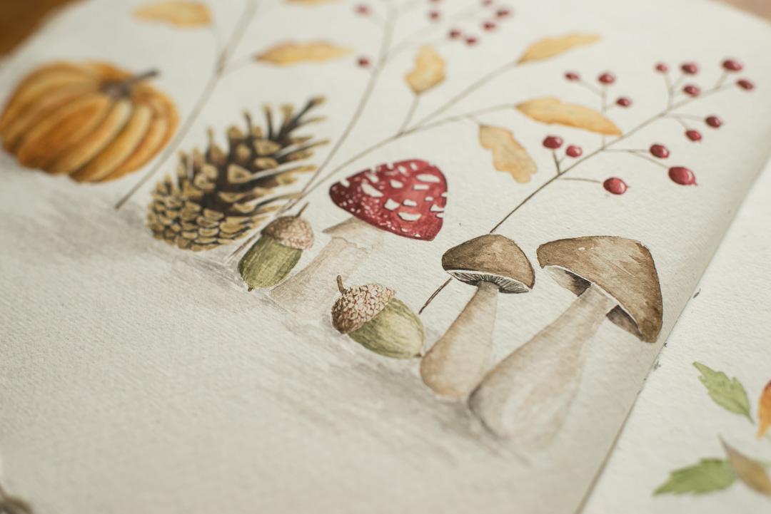 Adorable Fall Elements in Watercolor - image 3 - student project
