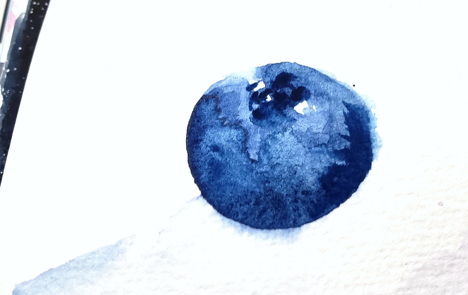 Blueberries with Sharon - image 1 - student project