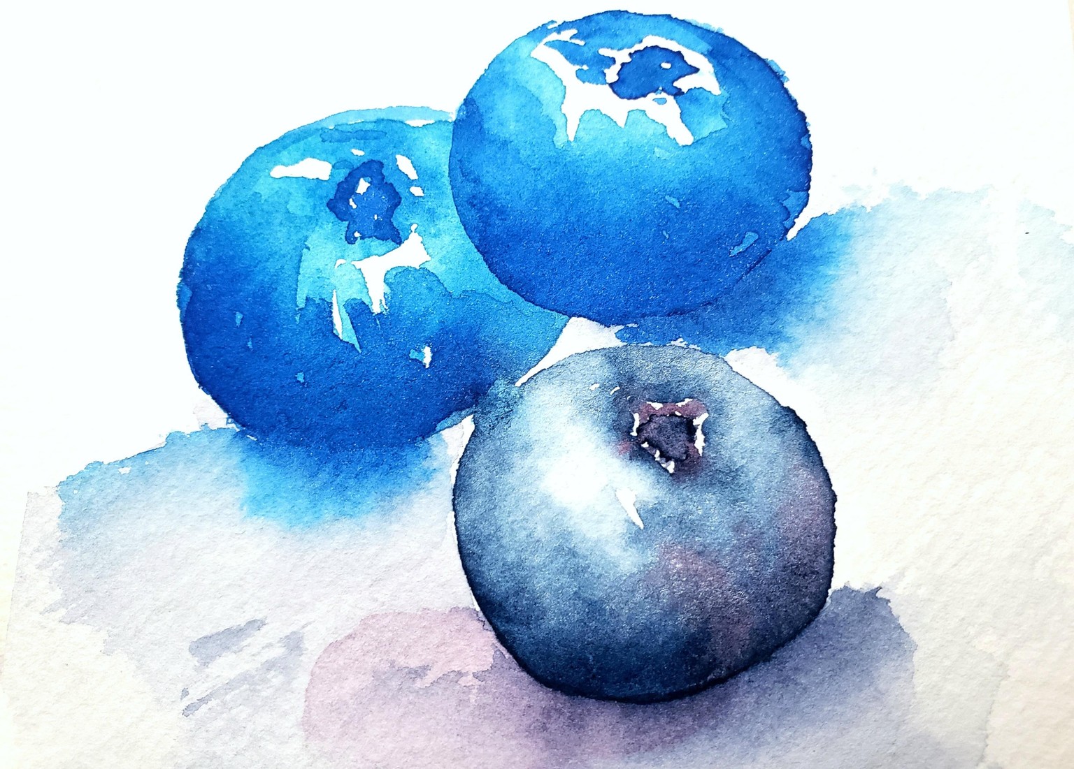 Blueberries with Sharon - image 3 - student project