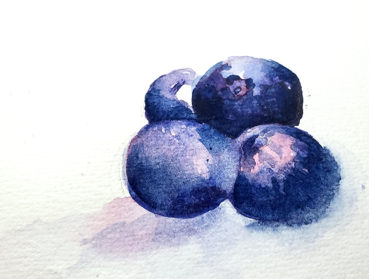 Blueberries with Sharon - image 2 - student project