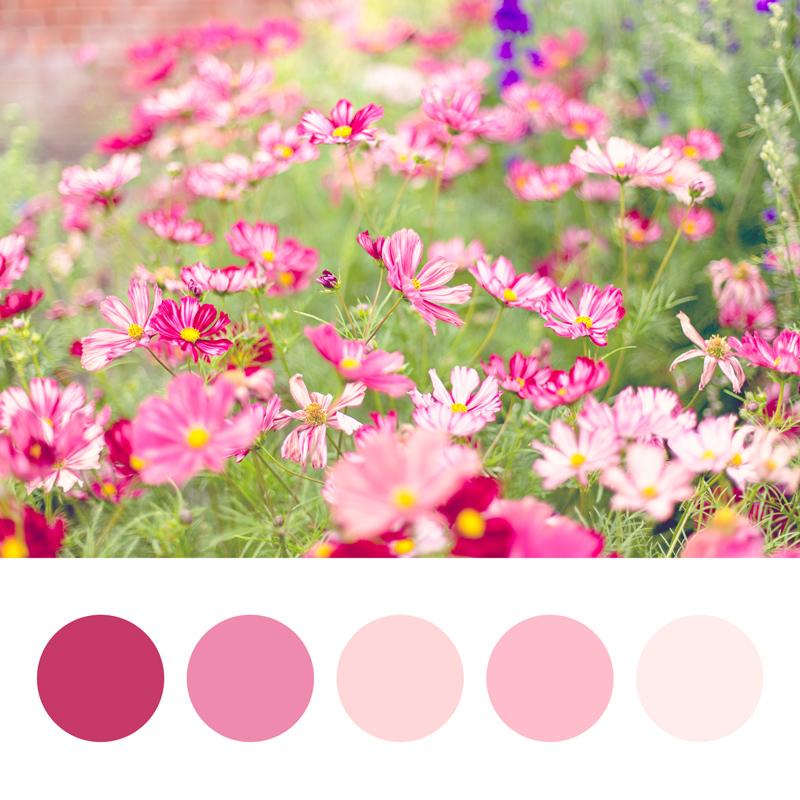 Colour Palette fun - image 2 - student project