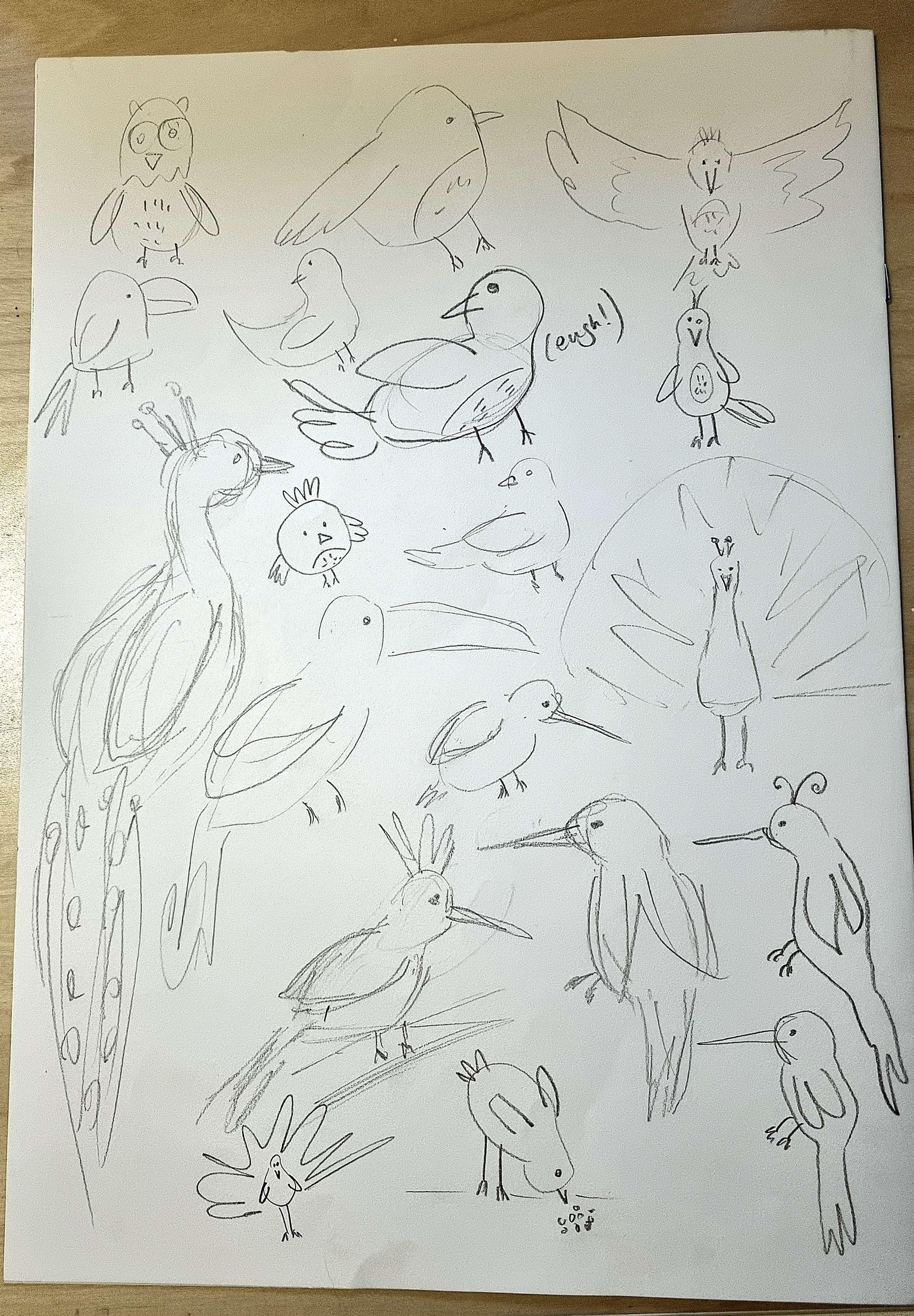 Birds! - image 1 - student project