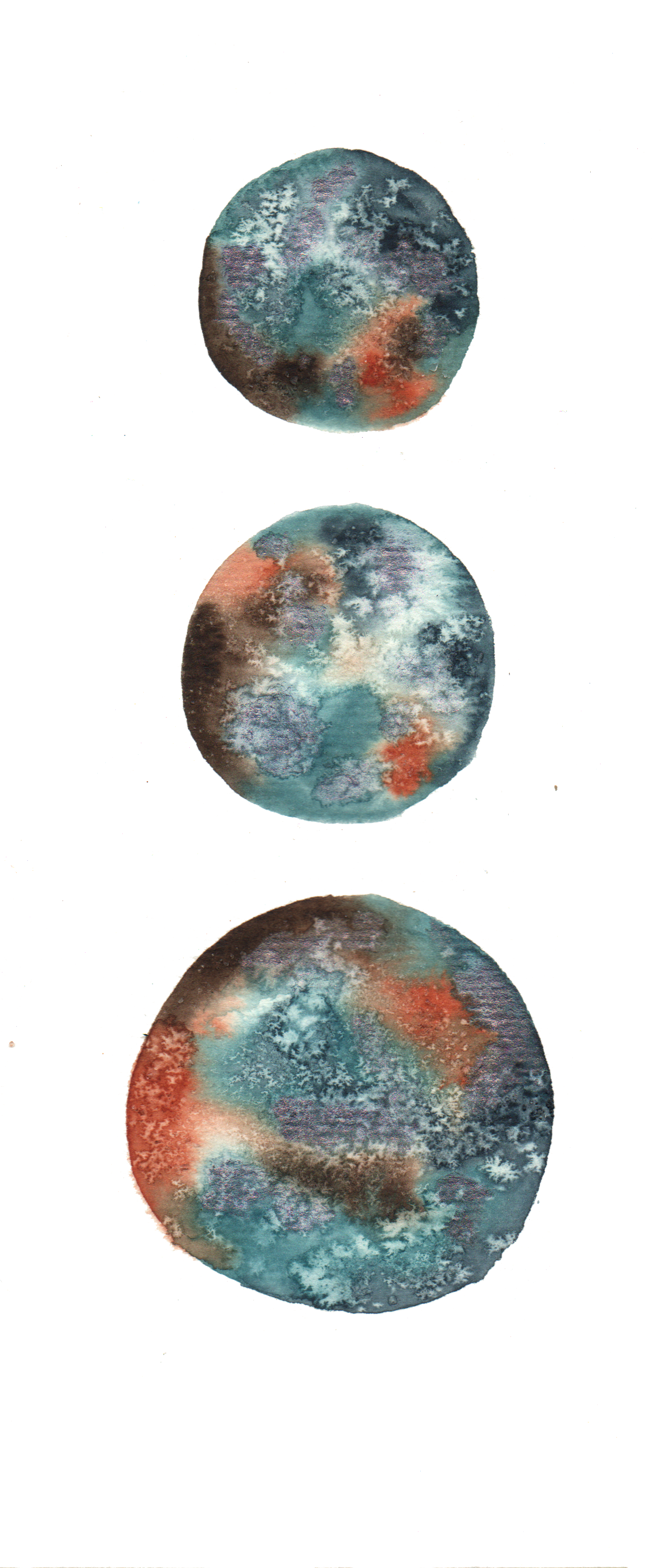 Browns and Blues - image 2 - student project