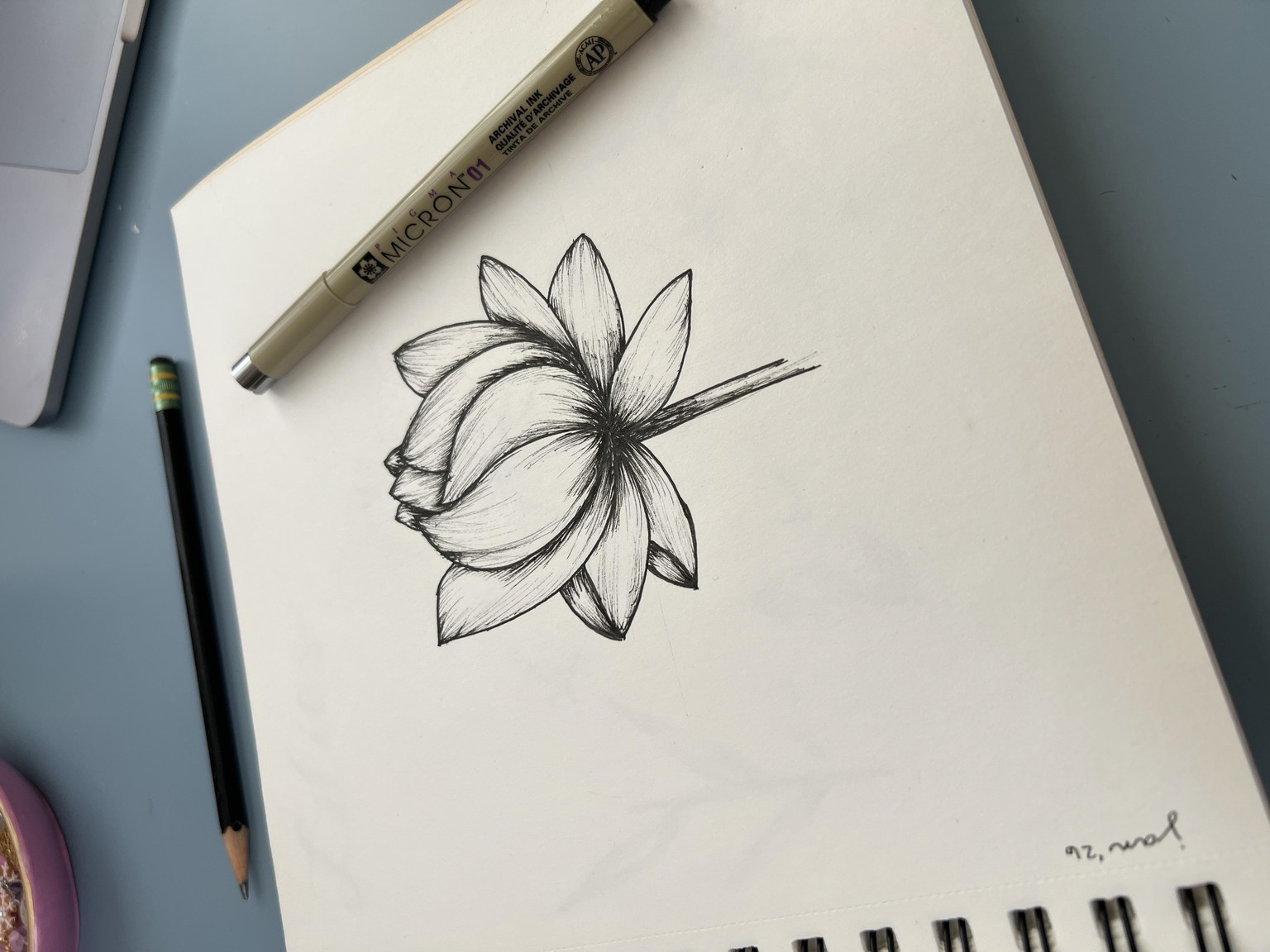 How to draw lotus flowers - image 1 - student project
