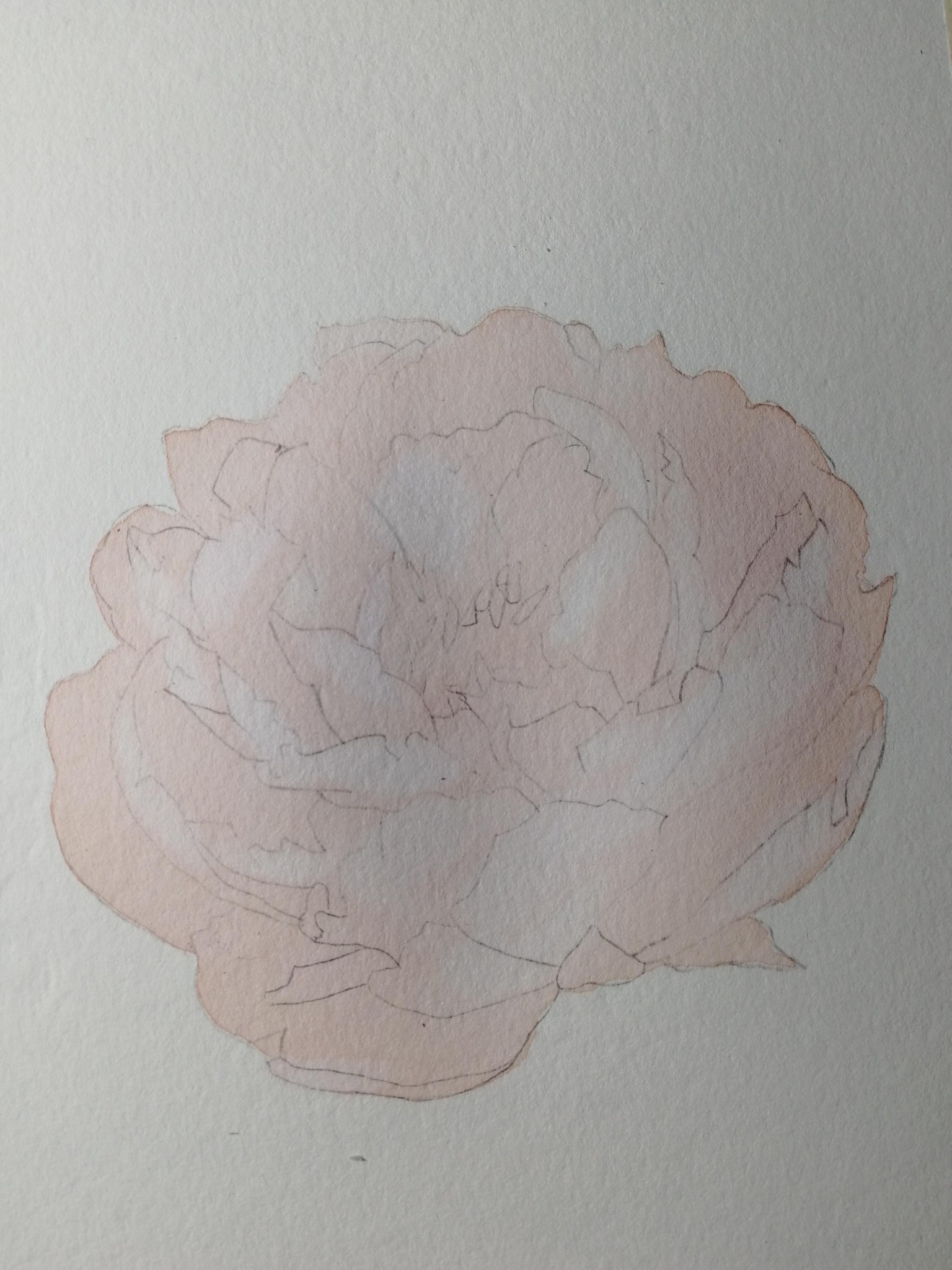 Class #5 - Layering - image 3 - student project