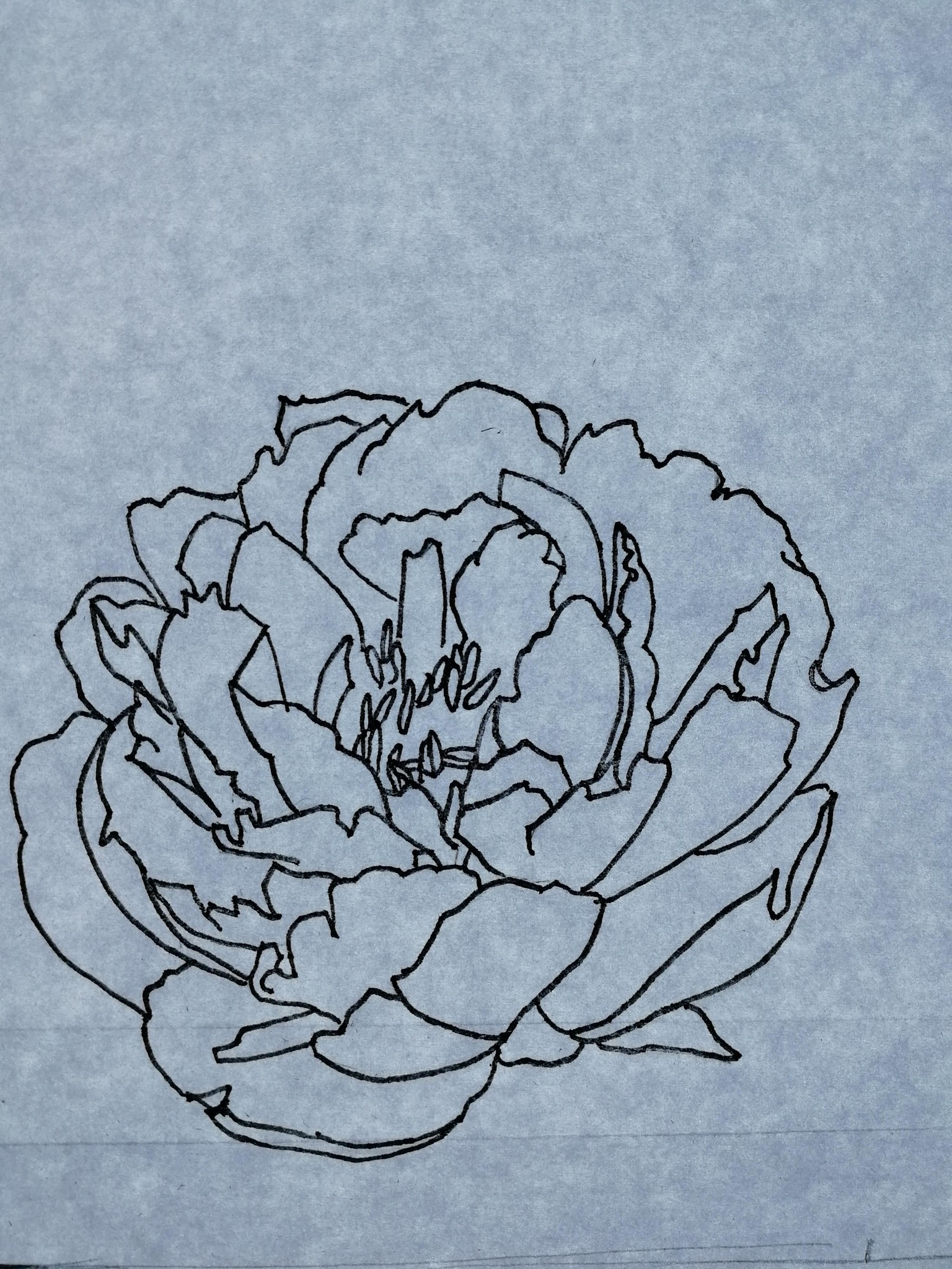 Class #5 - Layering - image 2 - student project
