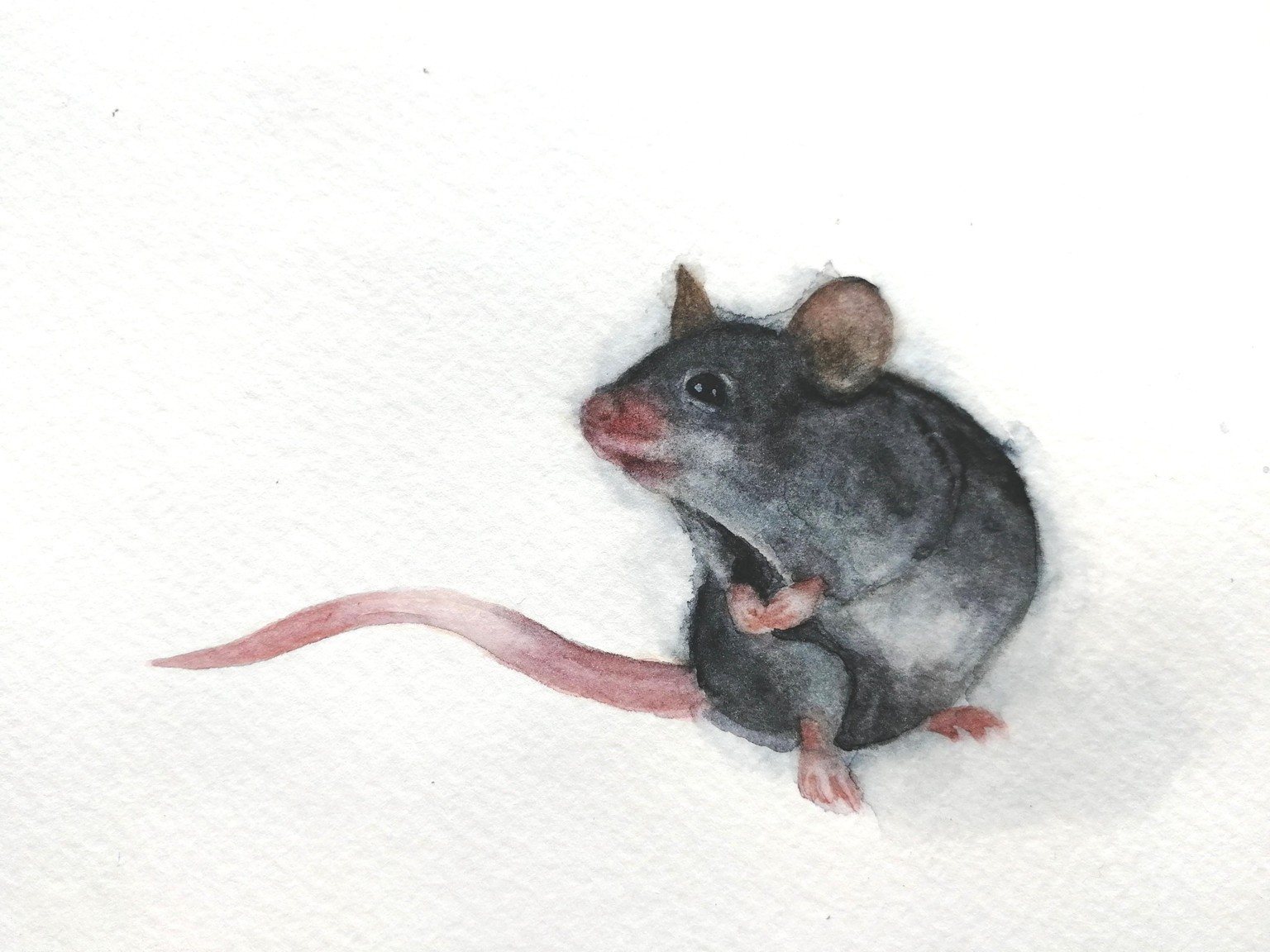 Wet on wet - image 1 - student project