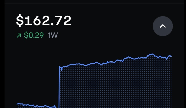 Crypto trading chart - image 2 - student project
