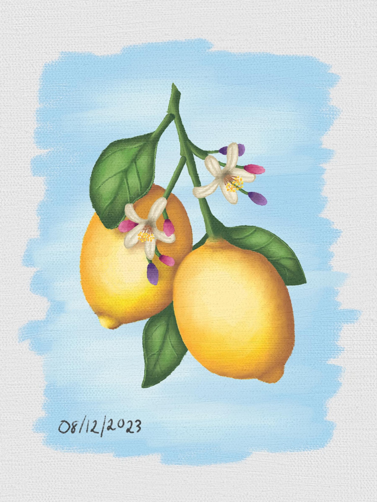 Digital Lemons - image 1 - student project