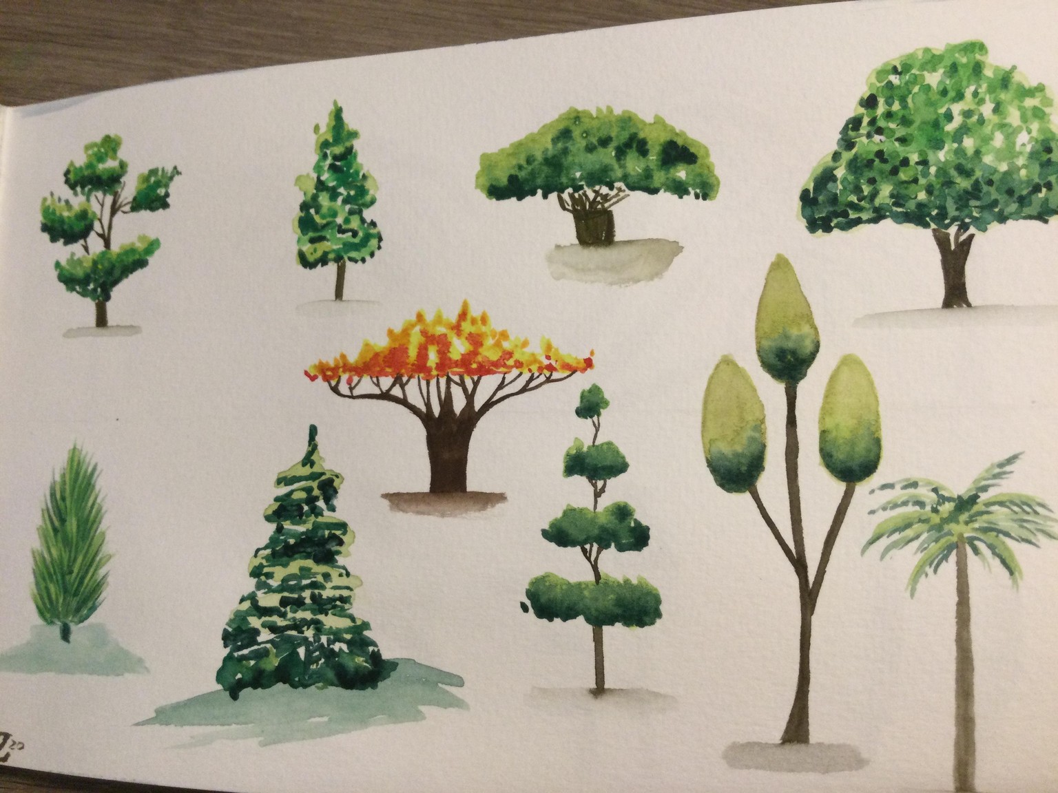 Trees - image 3 - student project