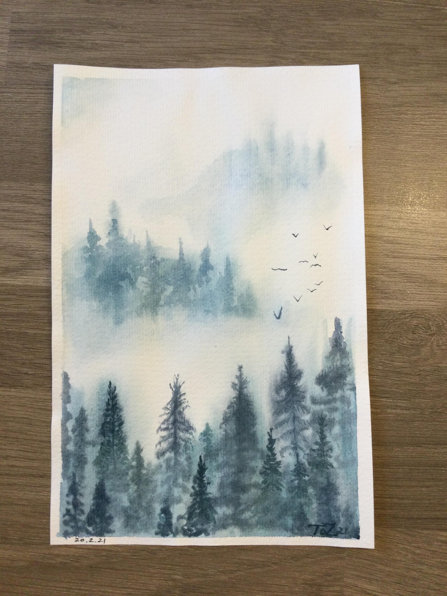 Misty Forrest - image 1 - student project