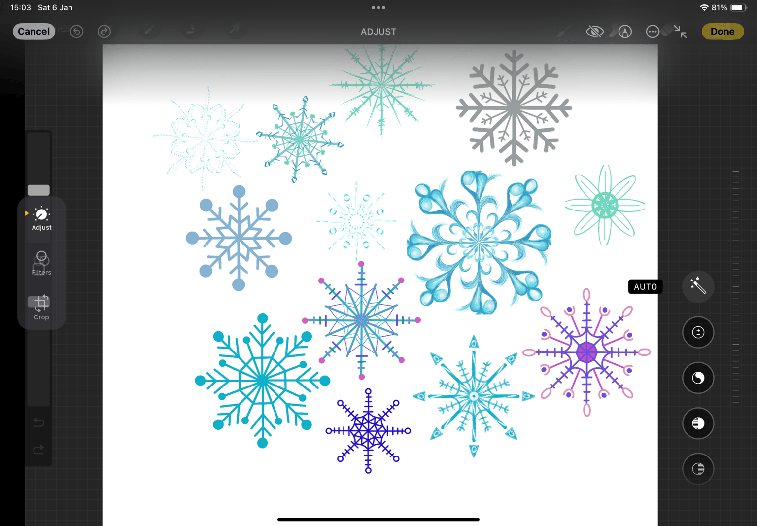 Snow flakes Procreate - image 1 - student project