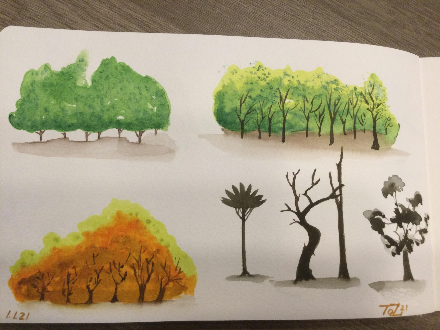 Trees - image 4 - student project
