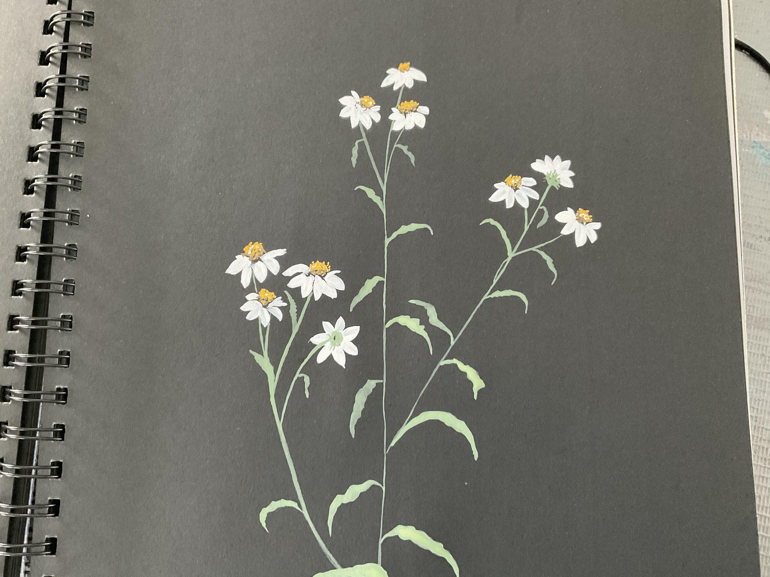 Gouache flowers on black paper - image 3 - student project