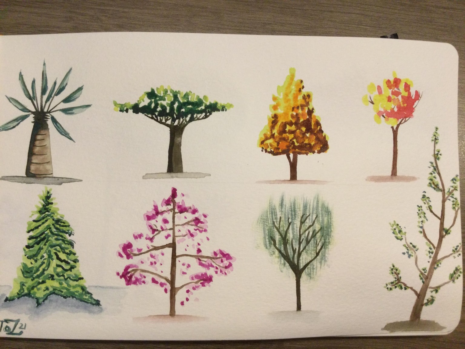 Trees - image 2 - student project