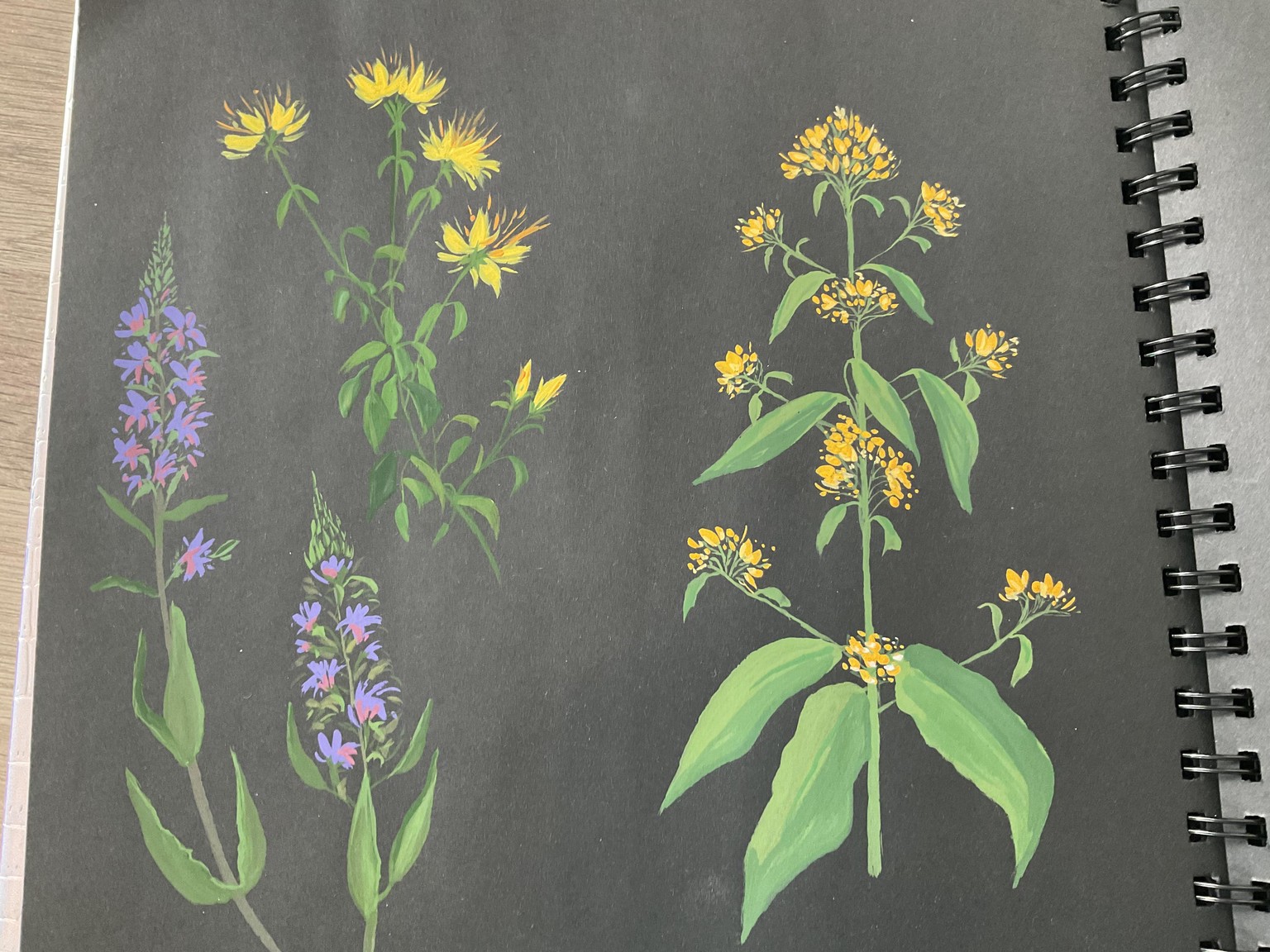 Gouache flowers on black paper - image 1 - student project