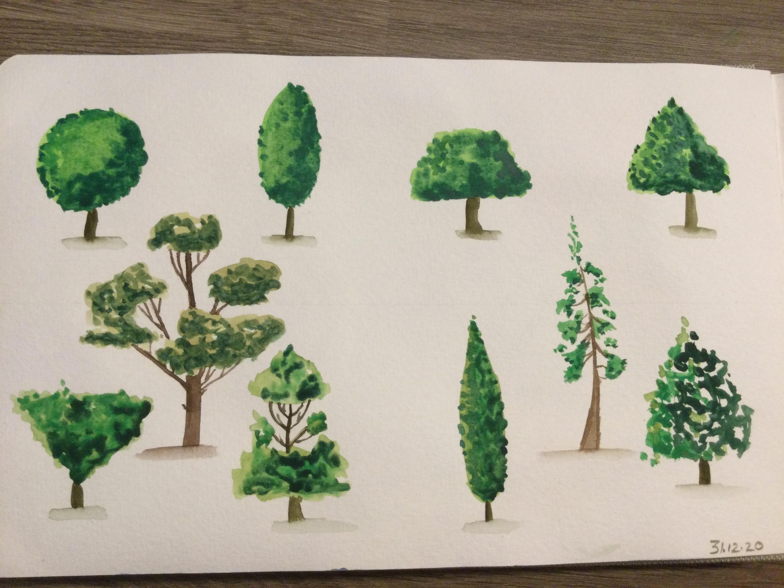 Trees - image 1 - student project