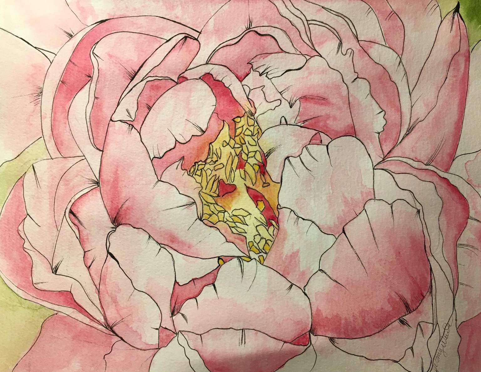 Pretty Pink Peony - image 2 - student project