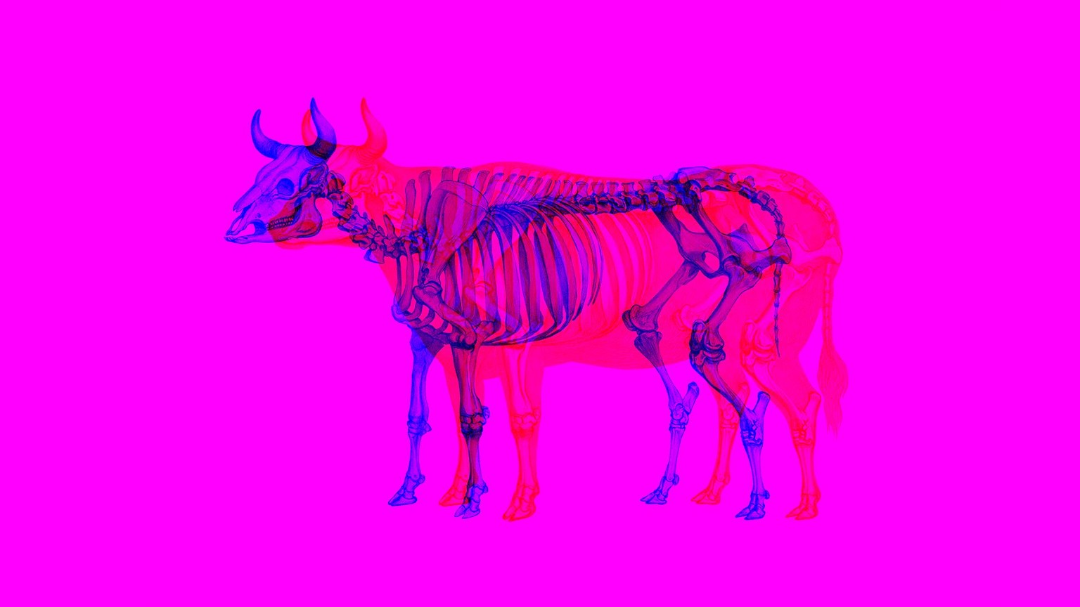 Layered Colour (Sample Project) - image 1 - student project