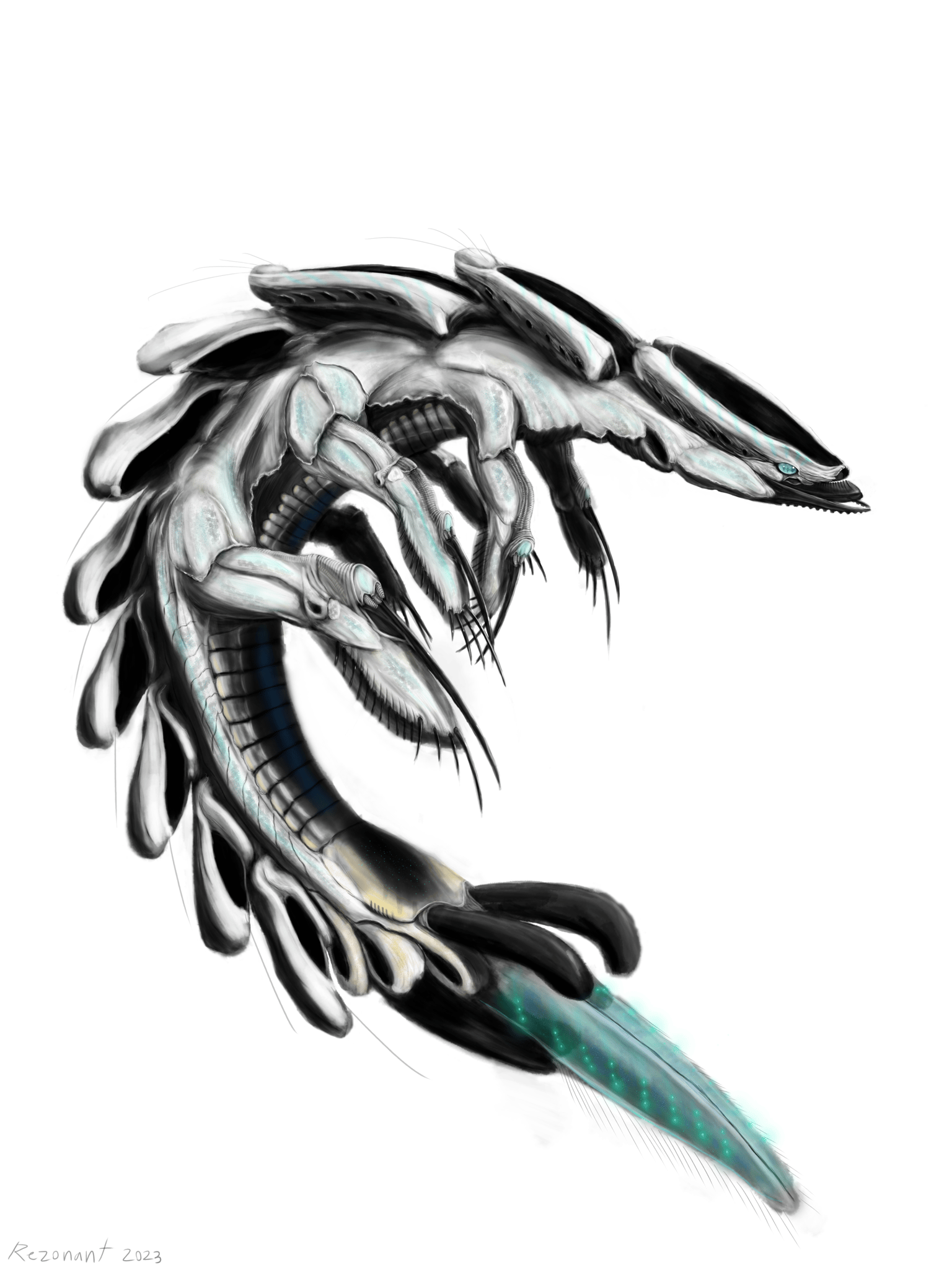 Lance-Headed Tidechiller - image 1 - student project