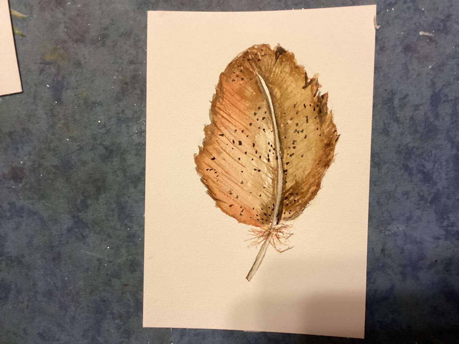Feathers, a ISharon’s Steven’s tutorial - image 4 - student project
