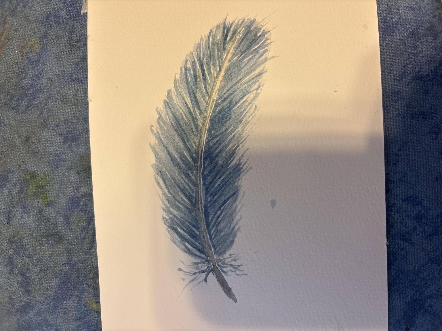 Feathers, a ISharon’s Steven’s tutorial - image 1 - student project