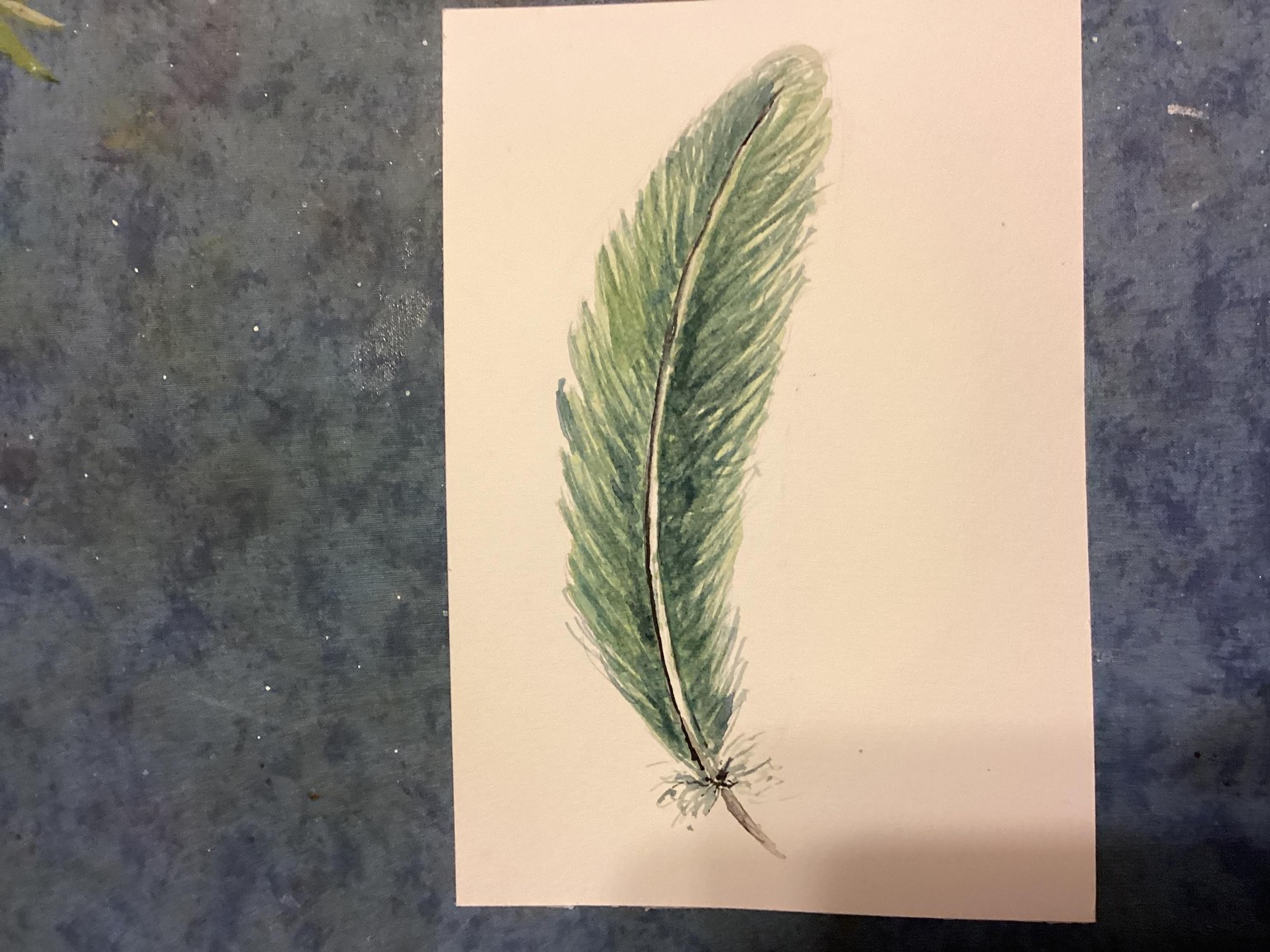 Feathers, a ISharon’s Steven’s tutorial - image 3 - student project