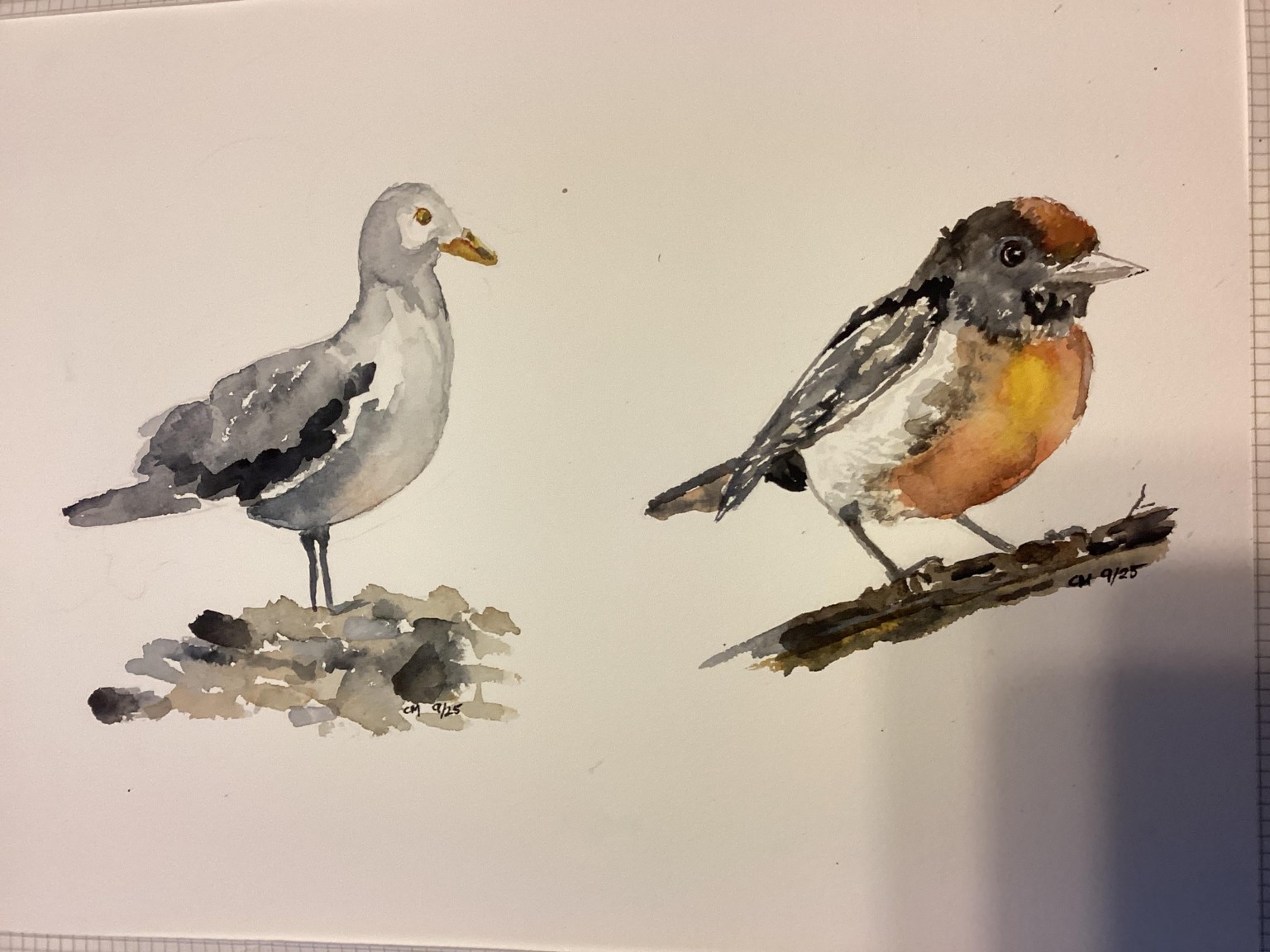 Hen a Patrick Visser tutorial - image 1 - student project