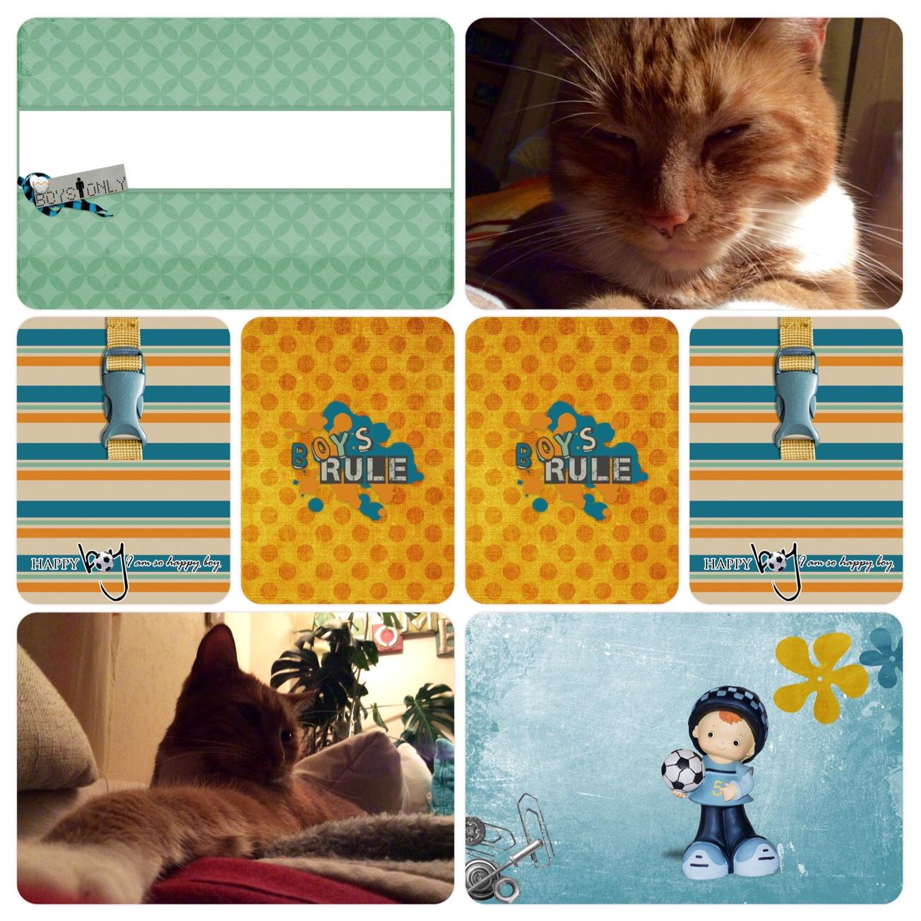 Project Life Cards with a Digital Scrapbooking Kit - image 2 - student project