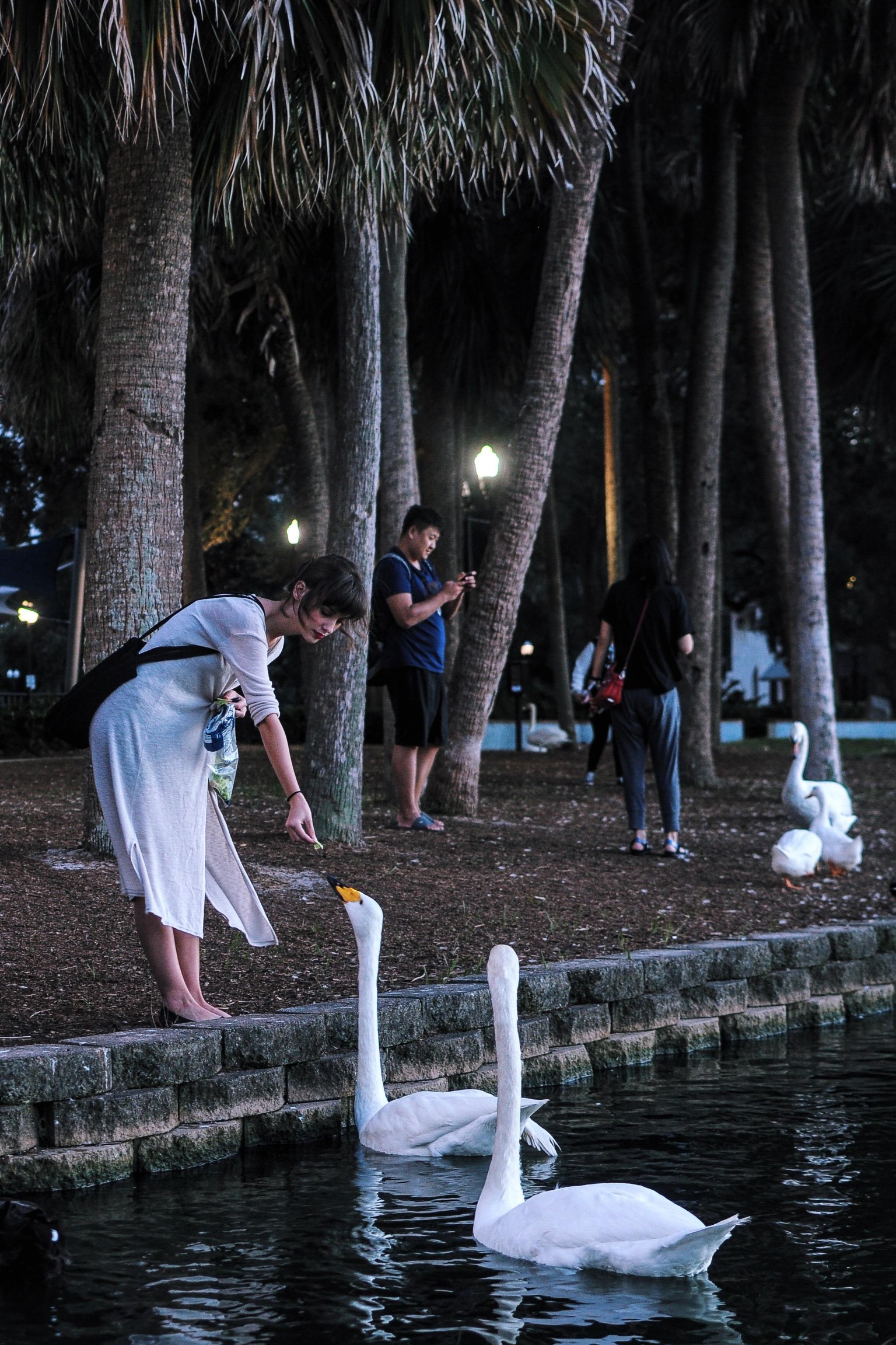 4. Angles - image 1 - student project