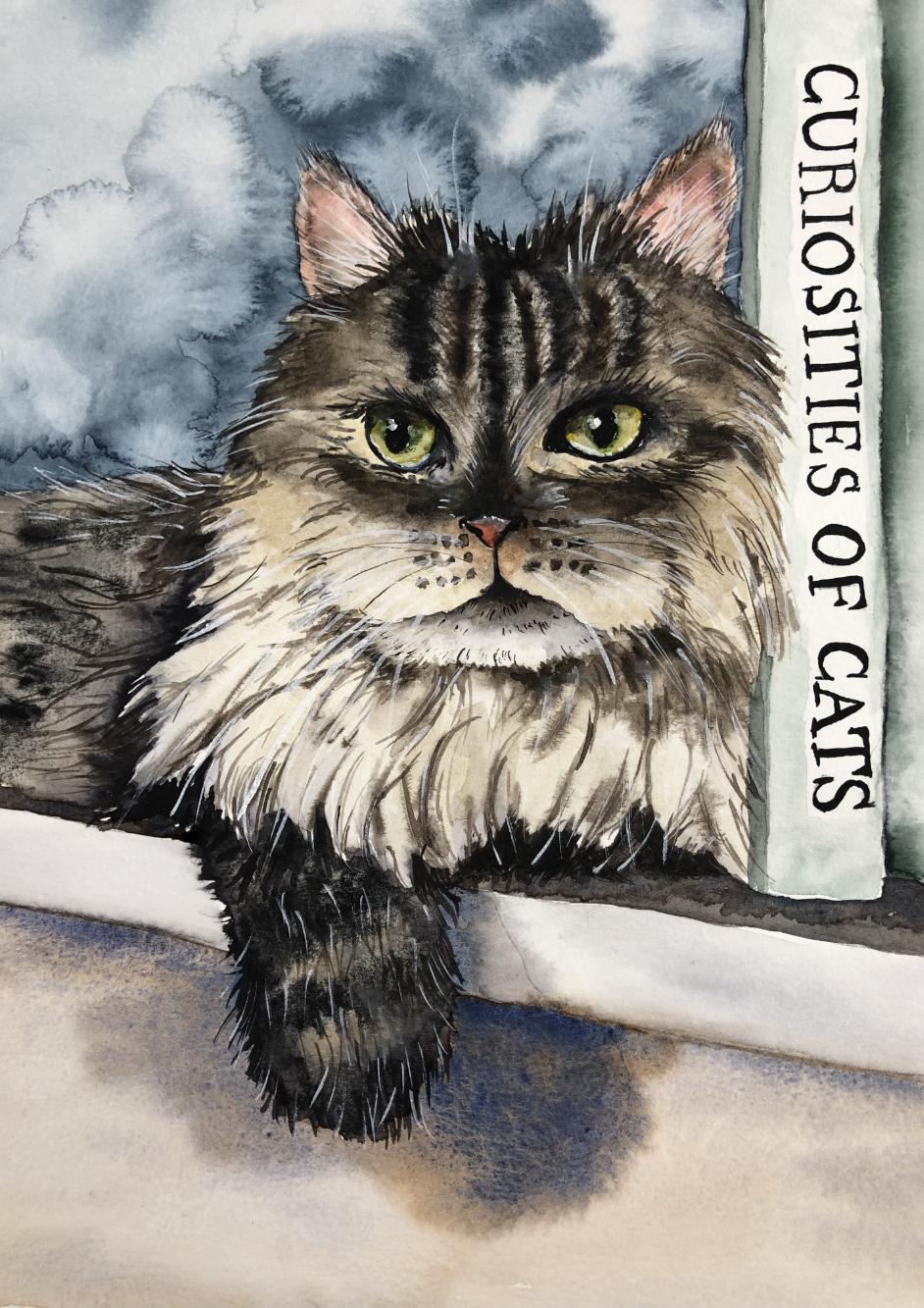Curiosities of Cats - image 1 - student project