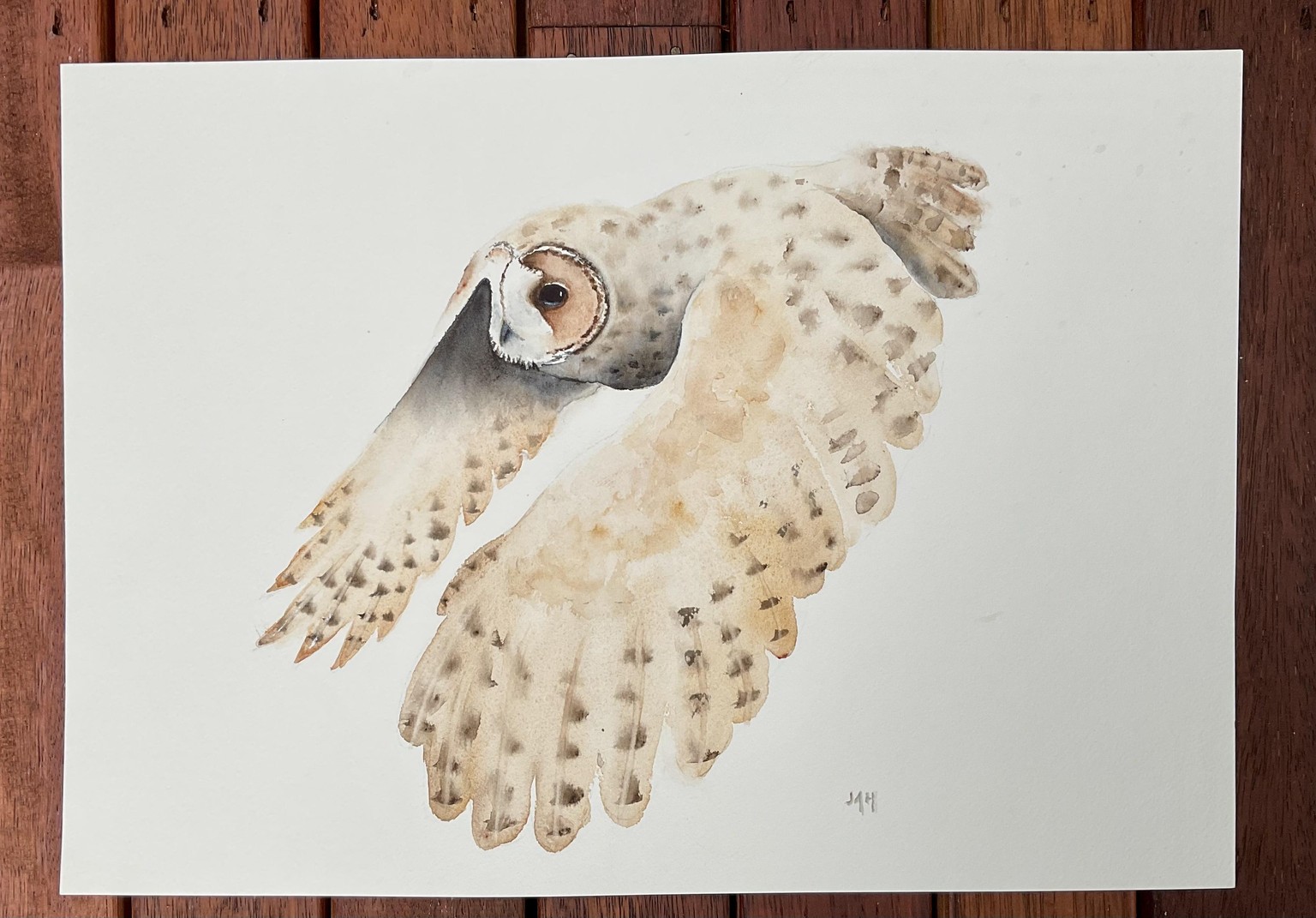 Flying Owl - image 1 - student project