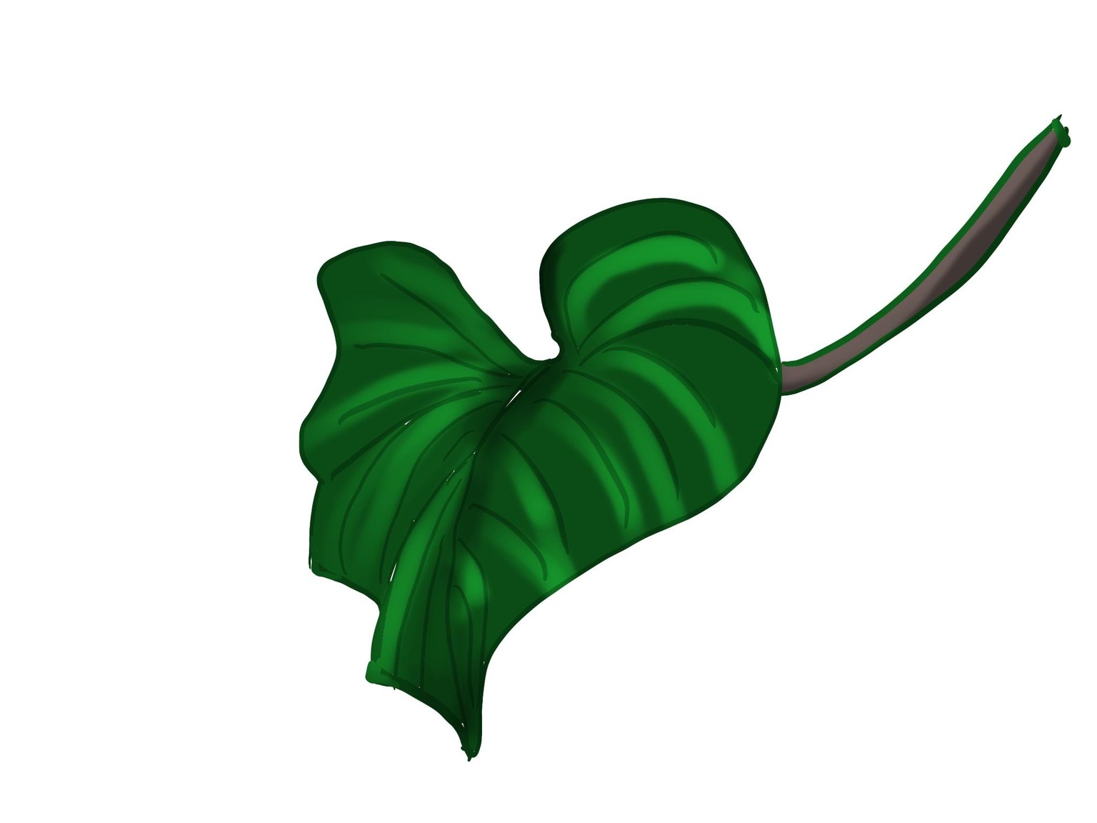 Practise leaf in procreate - image 2 - student project