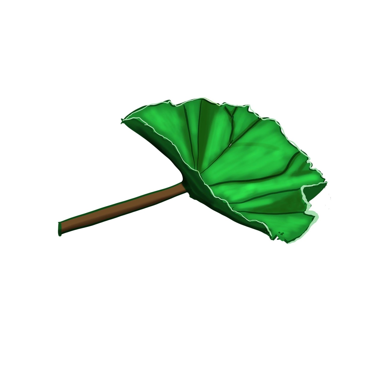 Practise leaf in procreate - image 1 - student project