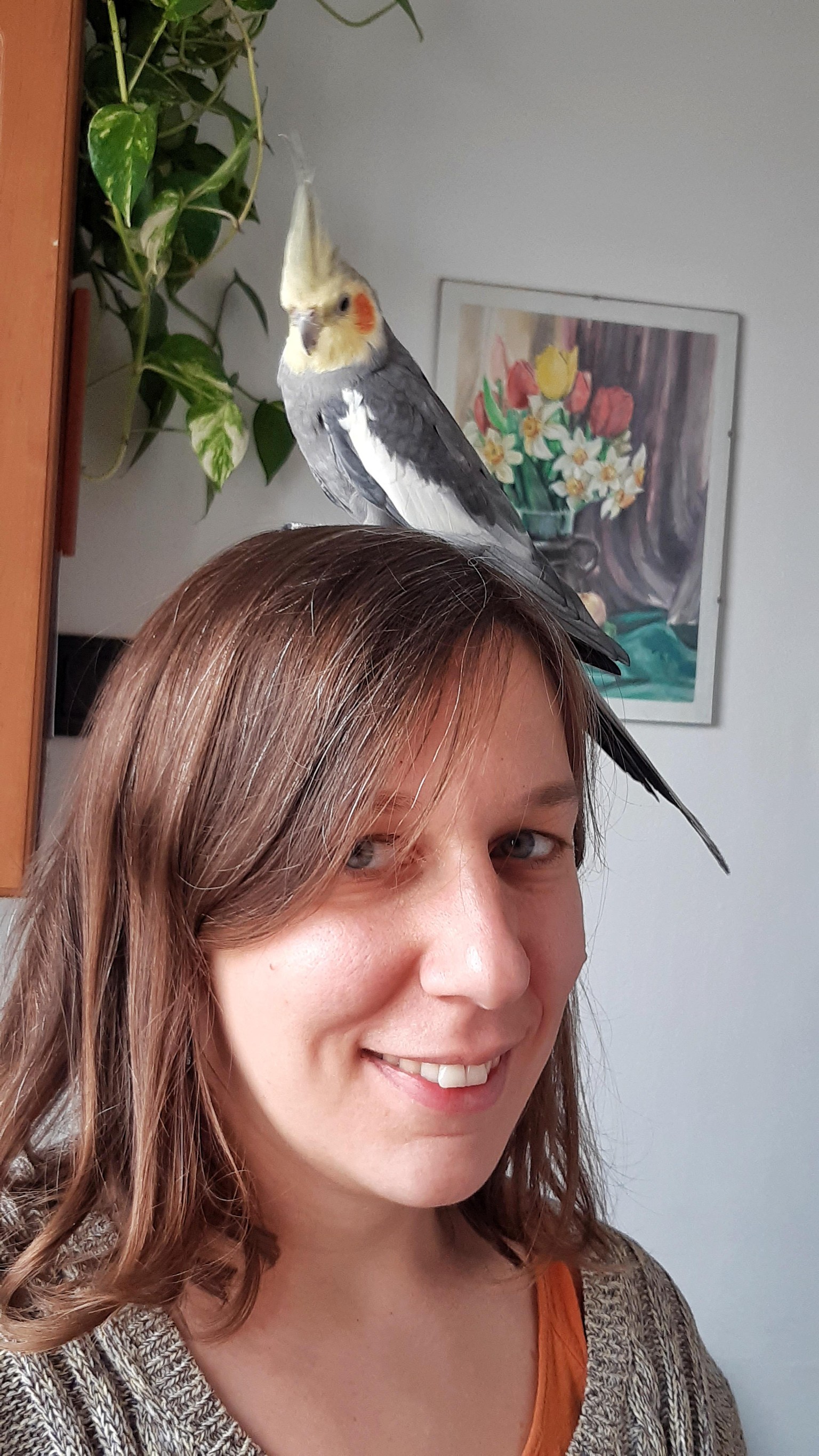 Portrait of Pütyi, the parrot - image 2 - student project