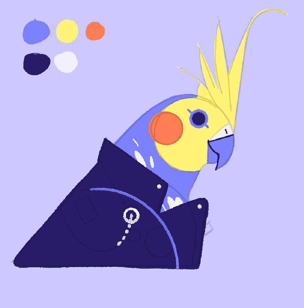 Portrait of Pütyi, the parrot - image 5 - student project