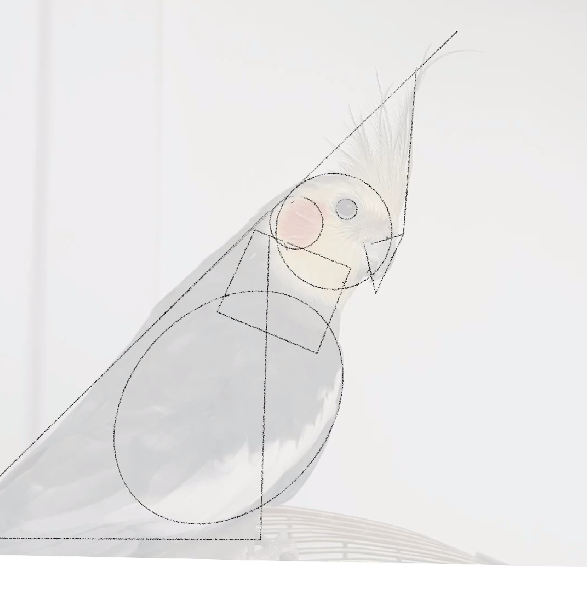 Portrait of Pütyi, the parrot - image 3 - student project