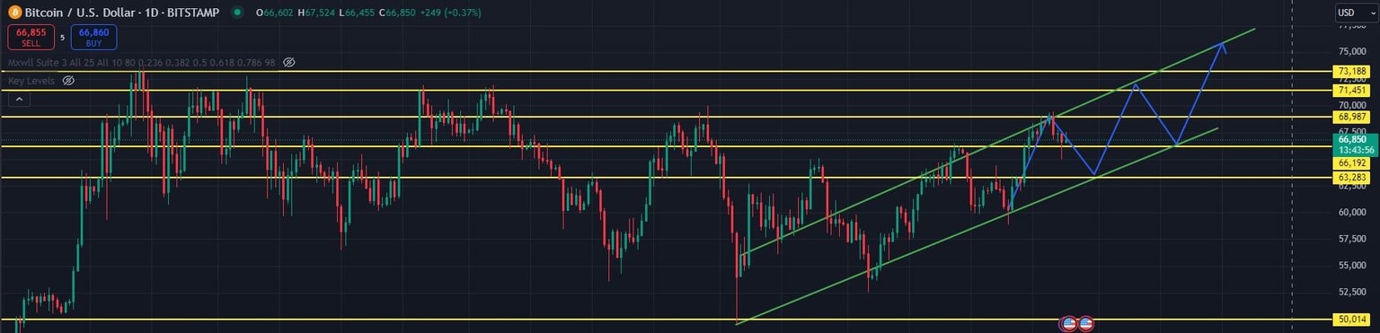 Bitcoin study OCT 2024 - image 1 - student project
