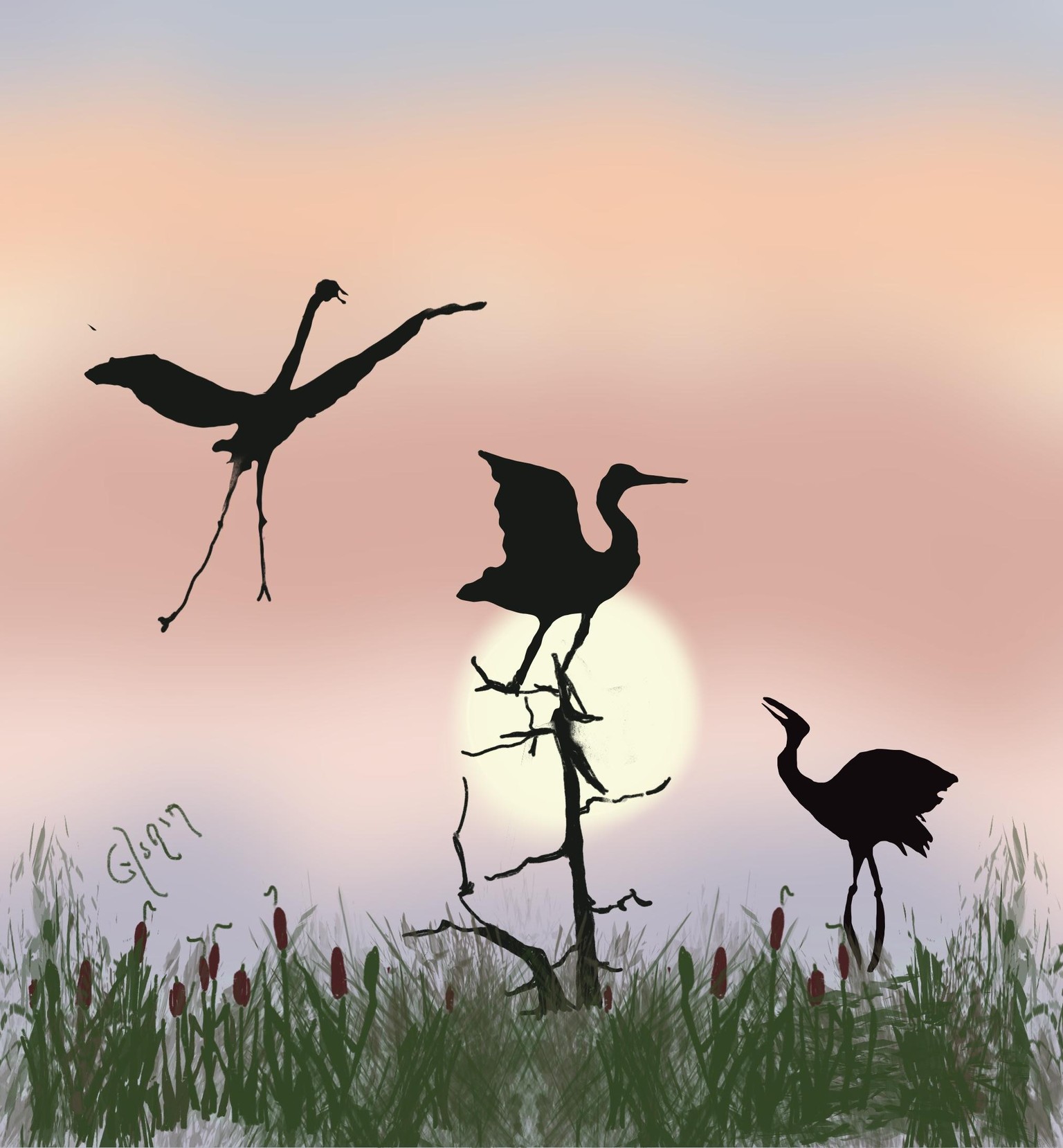 Cranes at Sunrise - image 1 - student project