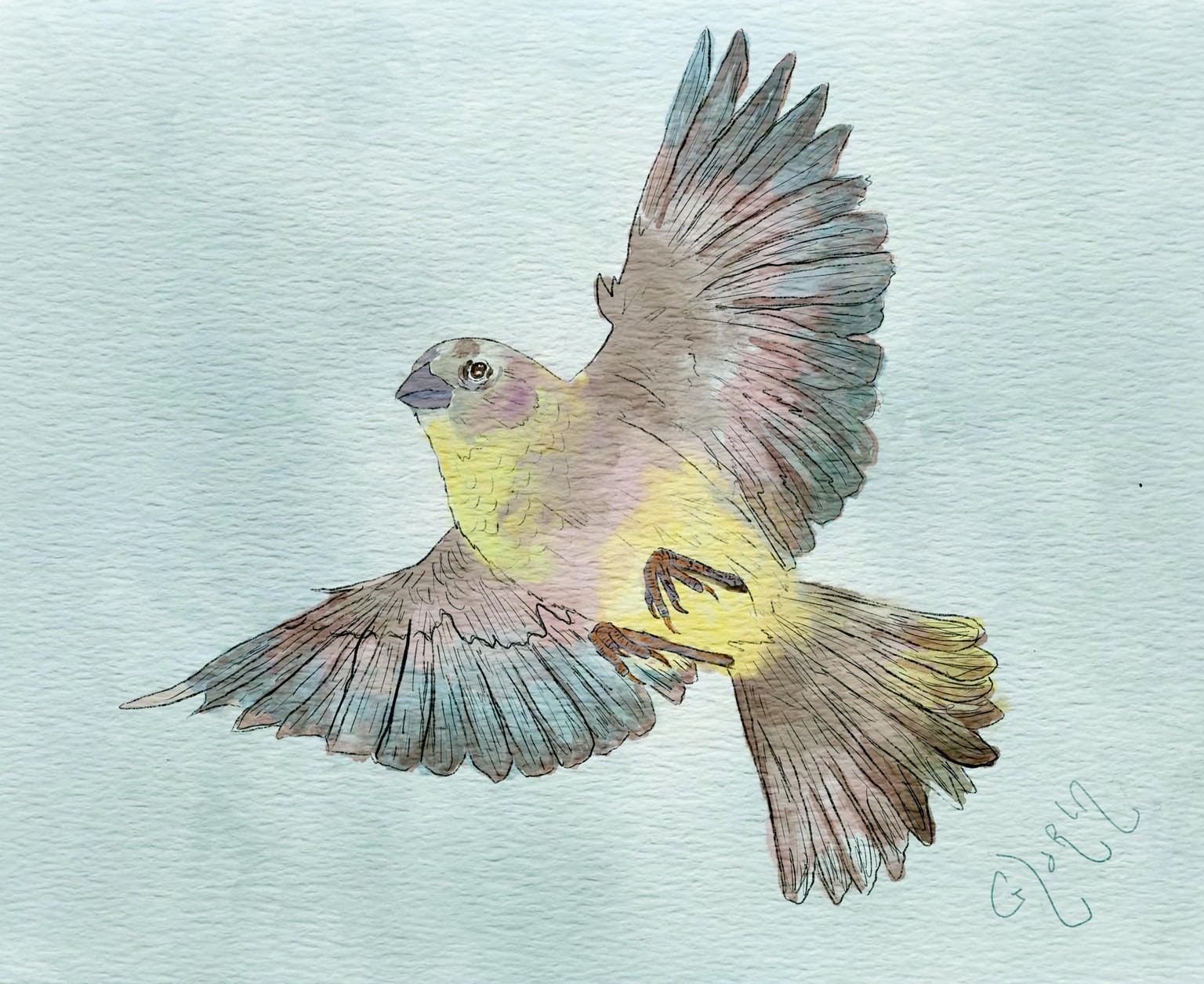 Bird on Wing - image 2 - student project
