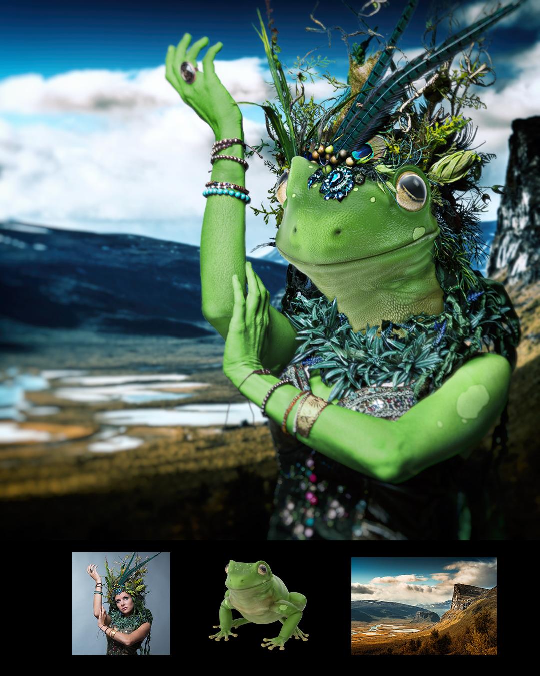 Frog Woman - image 1 - student project