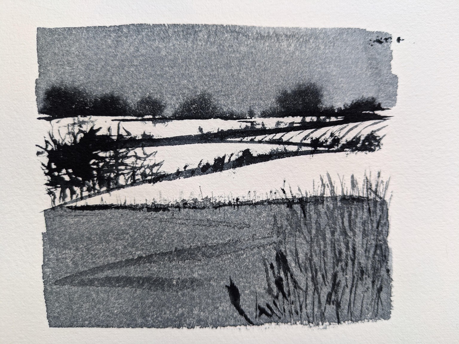 Landscape - image 1 - student project