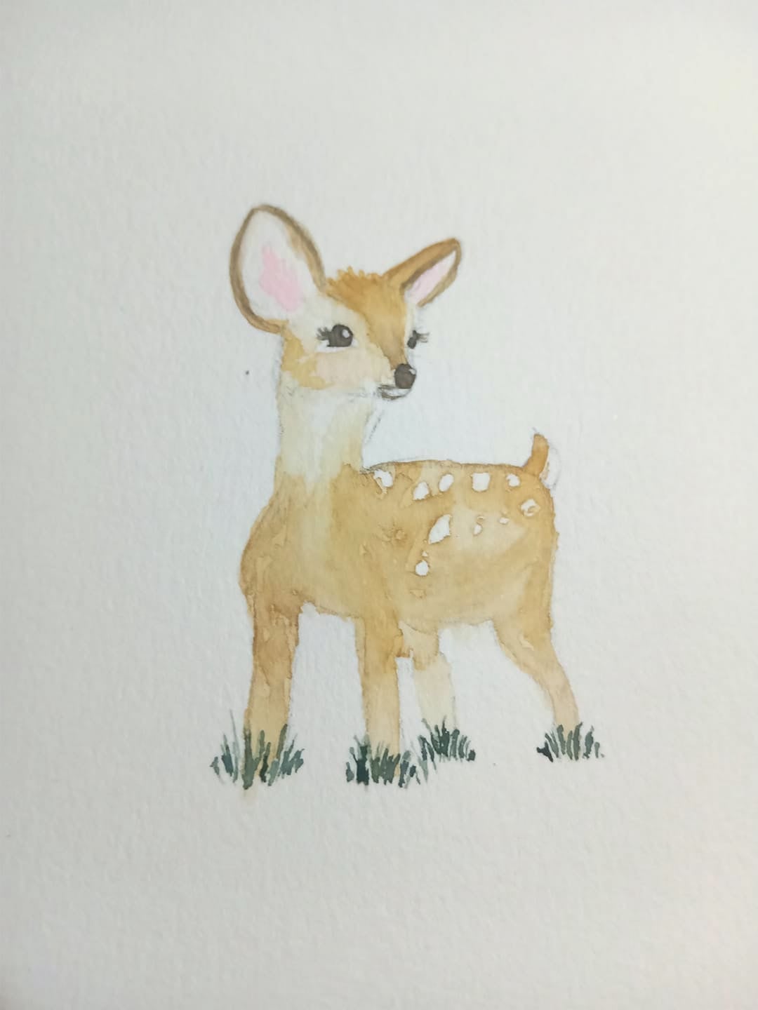 baby animals - image 2 - student project